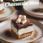 Mini Frozen Cannoli Cheesecake Bites