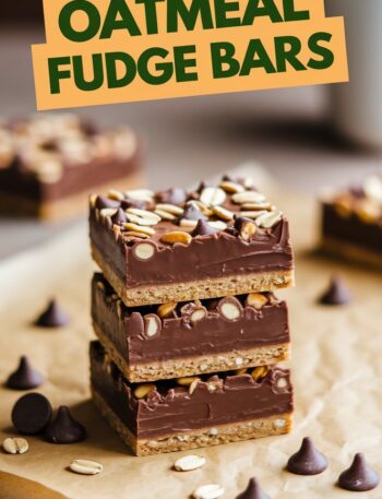 Oatmeal Fudge Bars