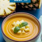 Fruity Summer Cold Pineapple Soup